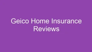 Geico Home Insurance Reviews